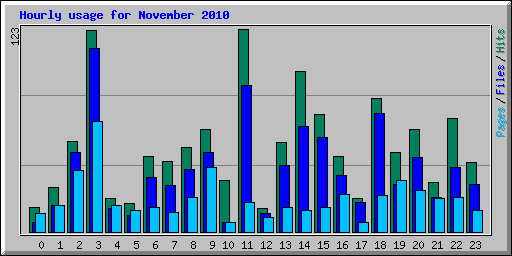 Hourly usage for November 2010