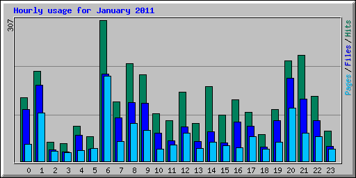 Hourly usage for January 2011