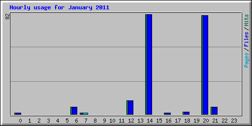 Hourly usage for January 2011